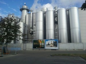 10983386_834022423345480_8278805599471988435_n