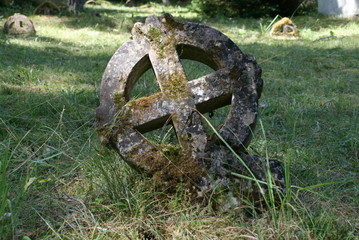 ヴォルムス（５）